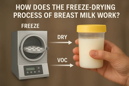 Freeze-Drying Process of Breast Milk Work